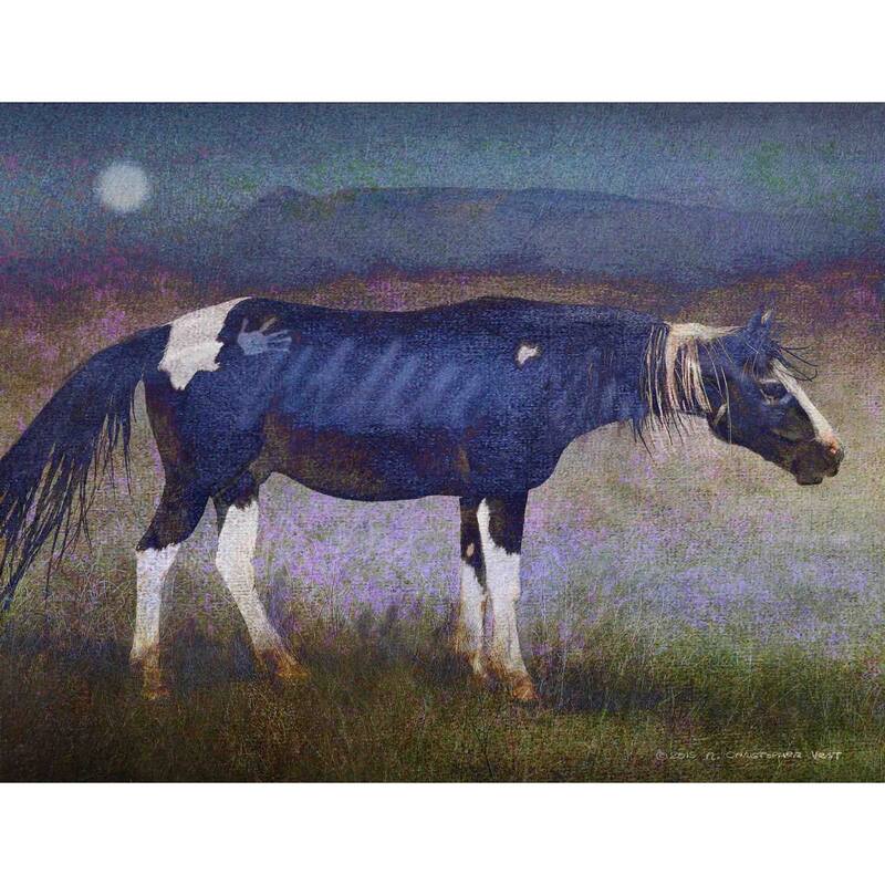 Marmont Hill - Black Horse by Chris Vest Painting Print on Canvas - Multi-Color