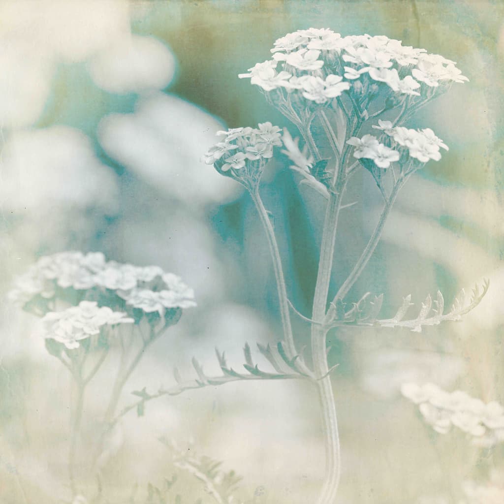 Marmont Hill - Wait For Me by Jorgensen Painting Print on Canvas - Multi-Color