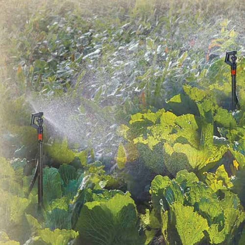 Genesis 20' Mirco Sprinkler Watering System by Riverstone Industries