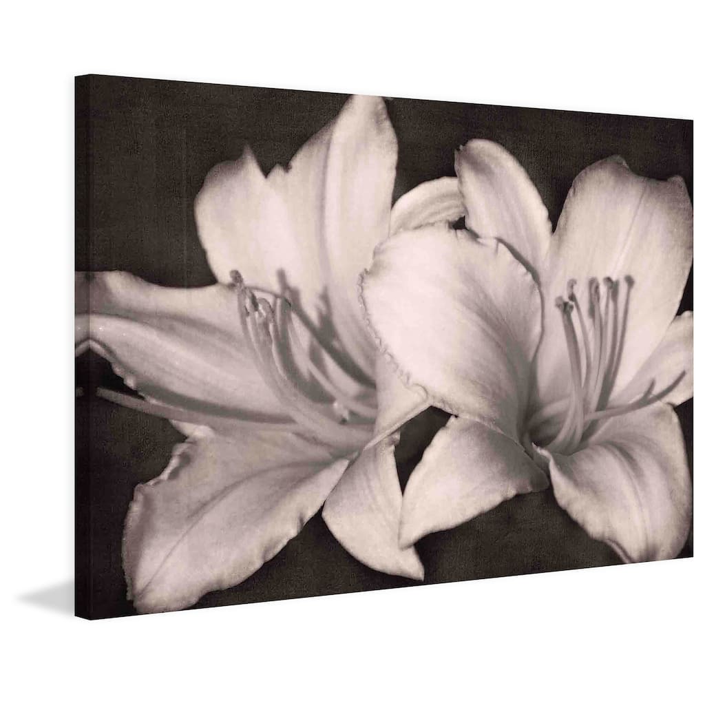 Marmont Hill - Fleeting And Free by Robertson Painting Print on Canvas - Multi-Color