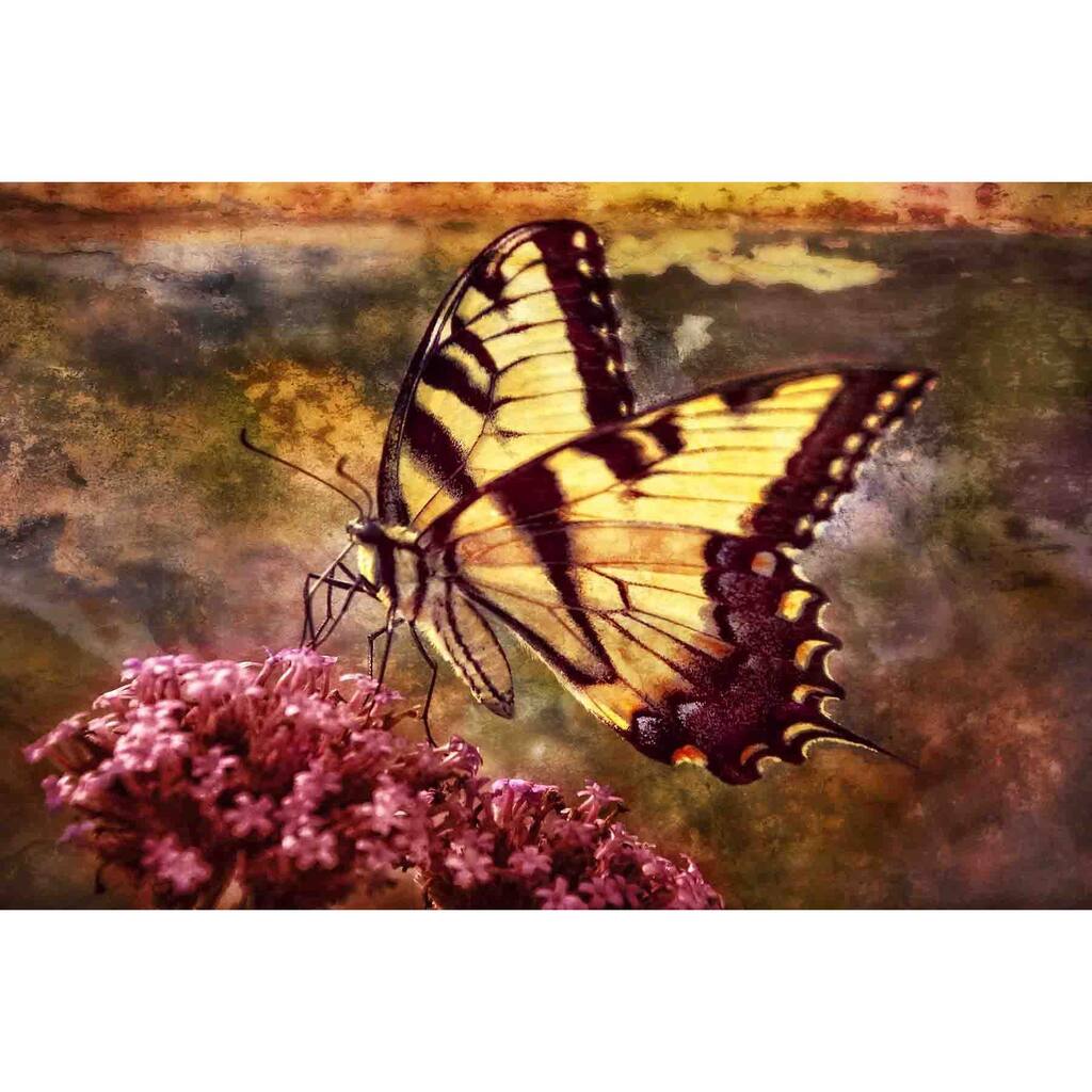 Marmont Hill - Beauty In The Rough by Robertson Painting Print on Canvas - Multi-Color