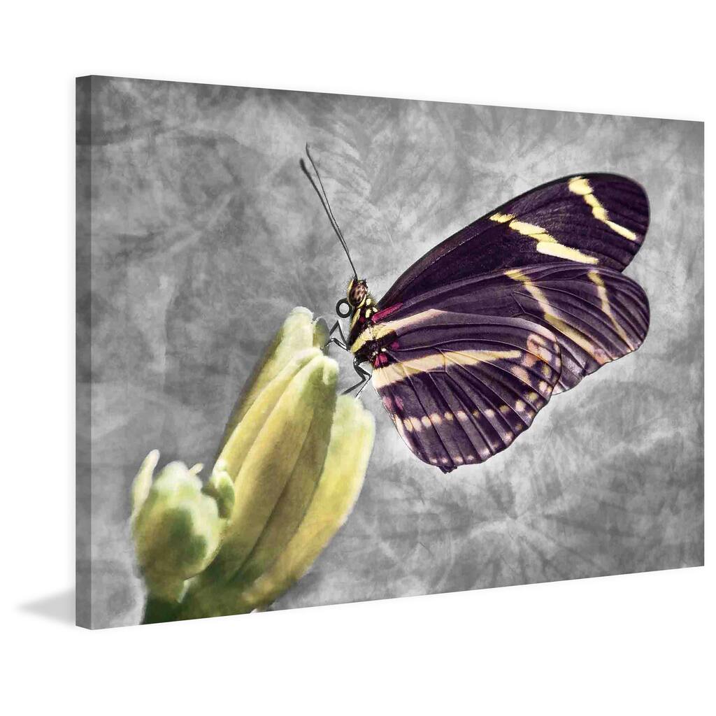 Marmont Hill - Tropical Nature by Robertson Painting Print on Canvas - Multi-Color