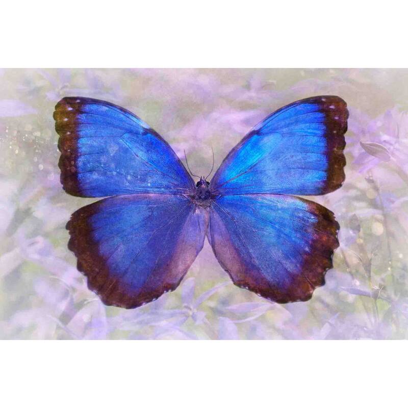 Marmont Hill - Angel In Blue by Robertson Painting Print on Canvas - Multi-Color