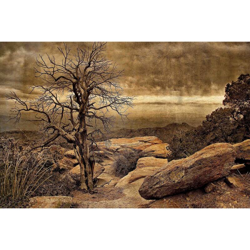 Marmont Hill - Crags And Crooks I by Robertson Painting Print on Canvas - Multi-Color