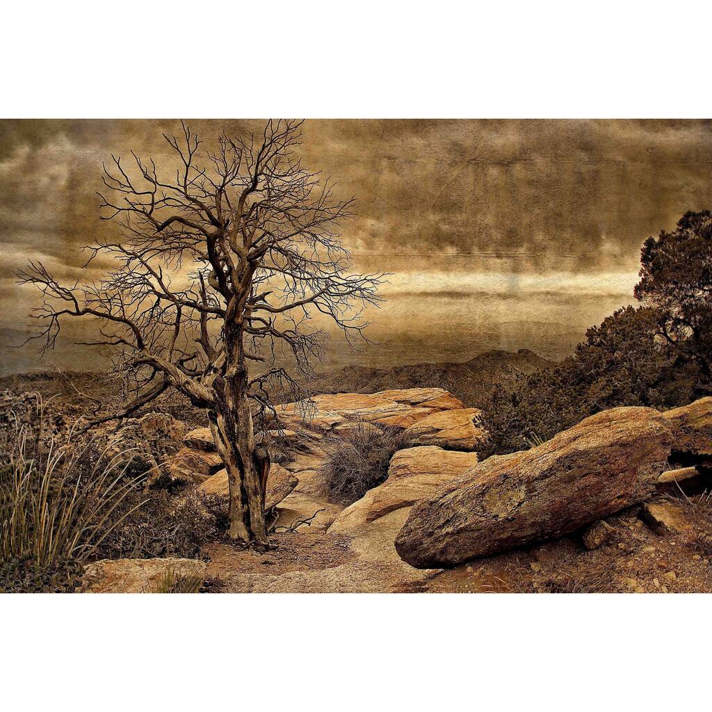 Marmont Hill - Crags And Crooks I by Robertson Painting Print on Canvas - Multi-Color