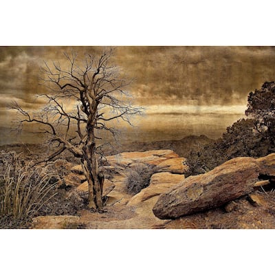 Marmont Hill - Crags And Crooks I by Robertson Painting Print on Canvas - Multi-Color