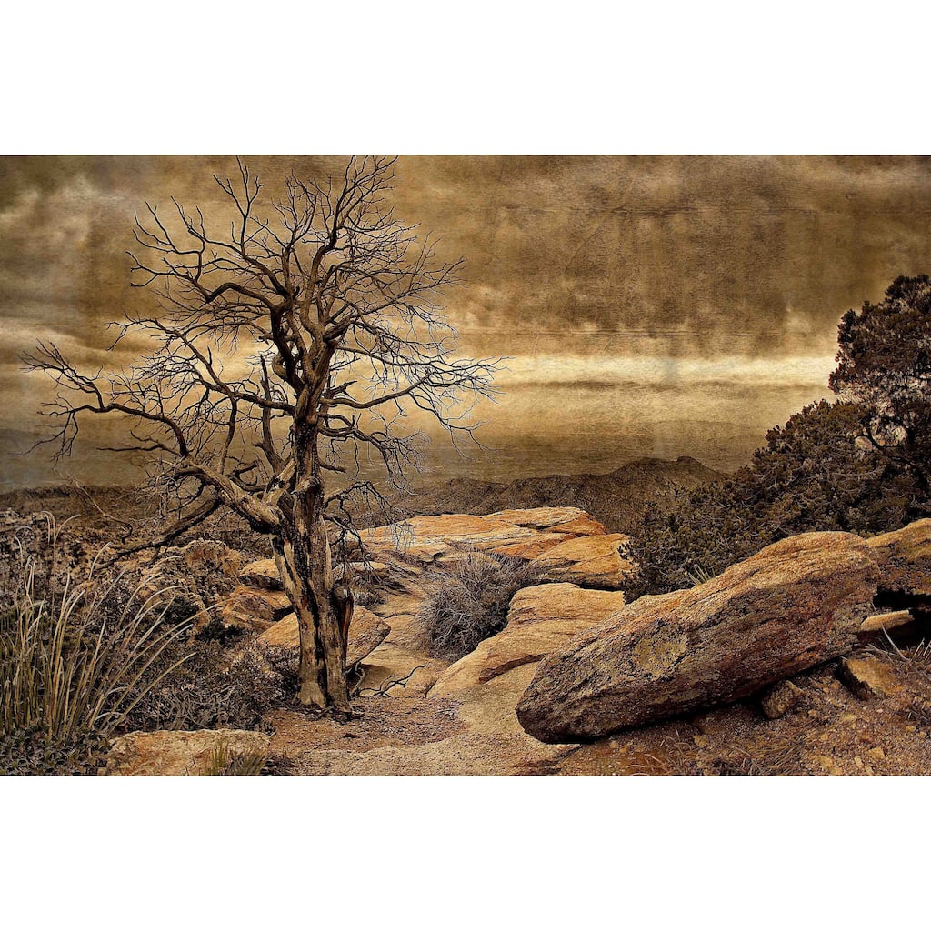 Marmont Hill - Crags And Crooks I by Robertson Painting Print on Canvas - Multi-Color