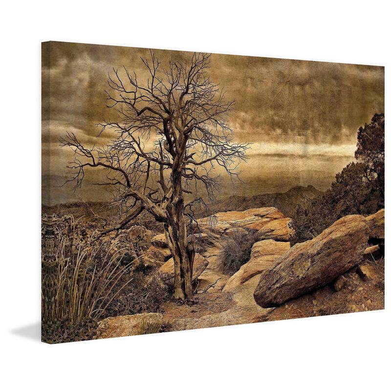 Marmont Hill - Crags And Crooks I by Robertson Painting Print on Canvas - Multi-Color