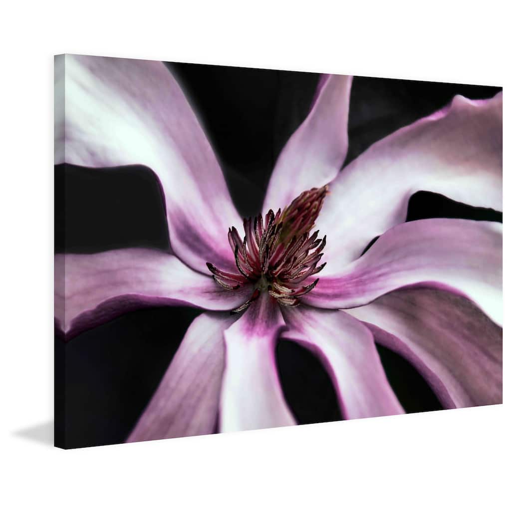 Marmont Hill - Petal Pleasure by Robertson Painting Print on Canvas - Multi-Color