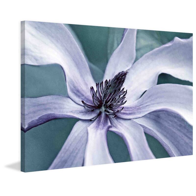 Marmont Hill - Petal Pleasure 2 by Robertson Painting Print on Canvas - Multi-Color