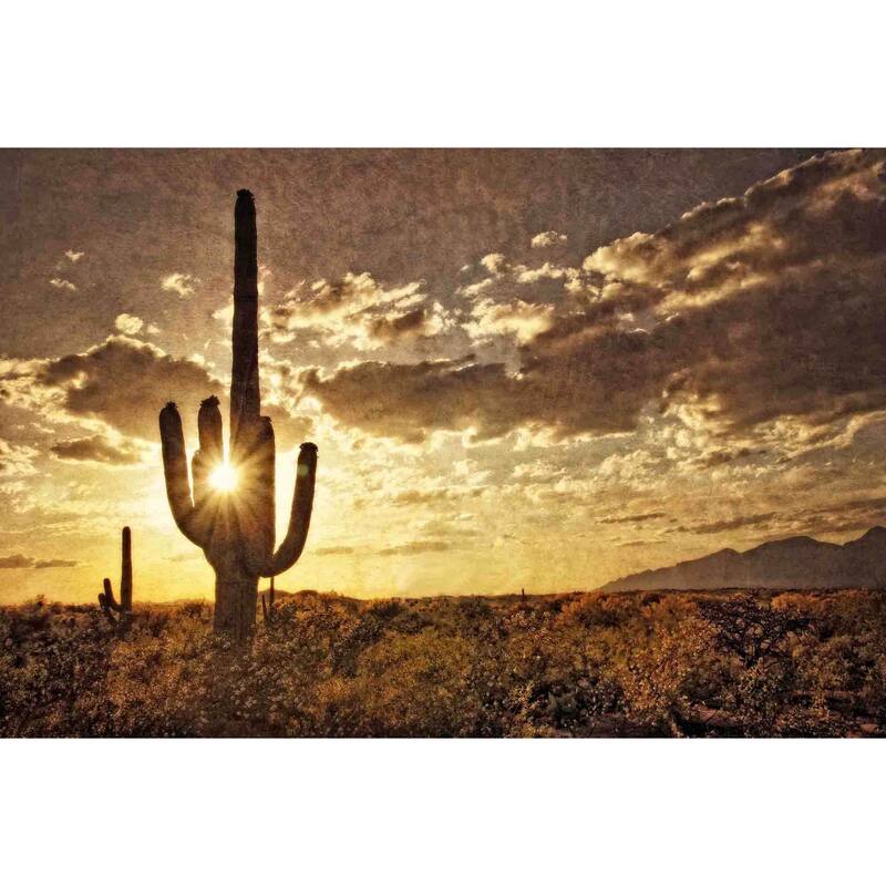 Marmont Hill - Sonoran Silhouette by Robertson Painting Print on Canvas - Multi-Color