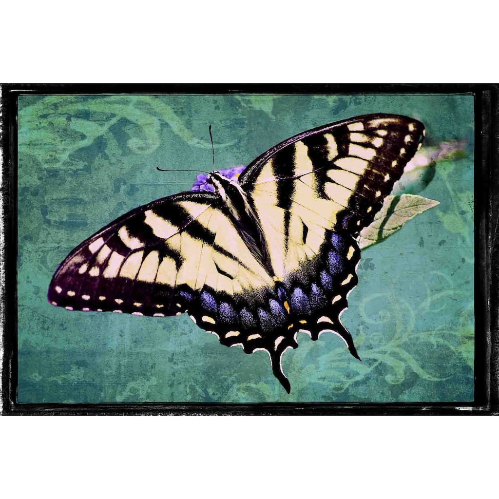 Marmont Hill - Sparkling Tiger Swallowtail by Robertson Painting Print on Canvas - Multi-Color