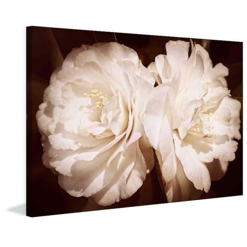 Marmont Hill - Pretty Pair In Sepia by Robertson Painting Print on Canvas - Multi-Color