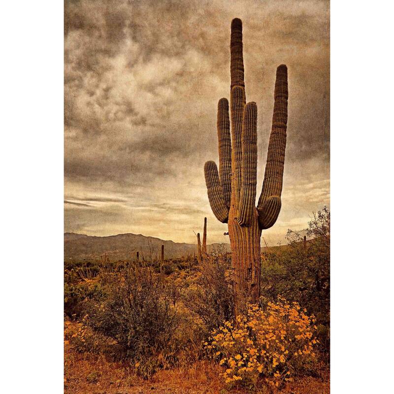 Marmont Hill - Desert Sentinels by Robertson Painting Print on Canvas - Multi-Color
