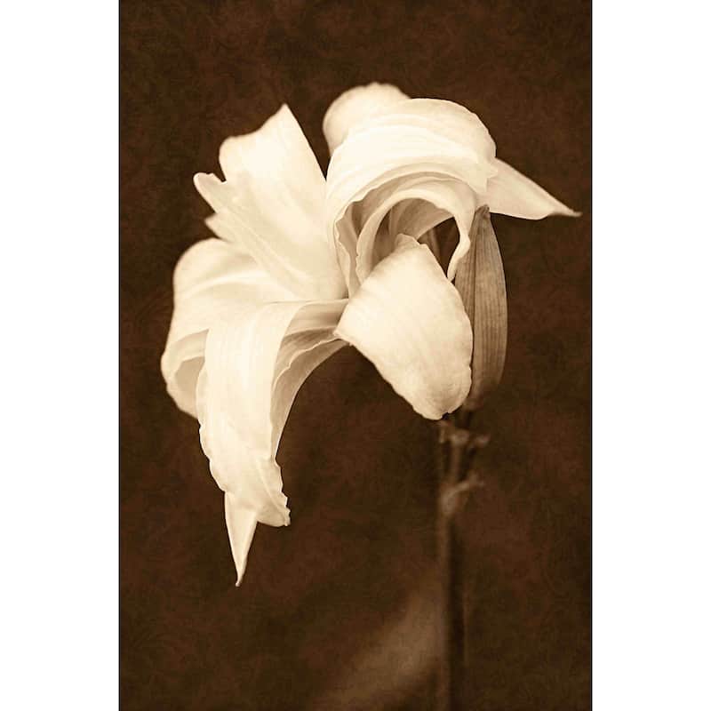 Marmont Hill - Petal Profusion by Robertson Painting Print on Canvas - Multi-Color