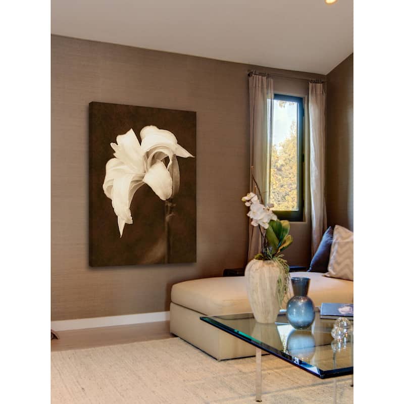 Marmont Hill - Petal Profusion by Robertson Painting Print on Canvas - Multi-Color
