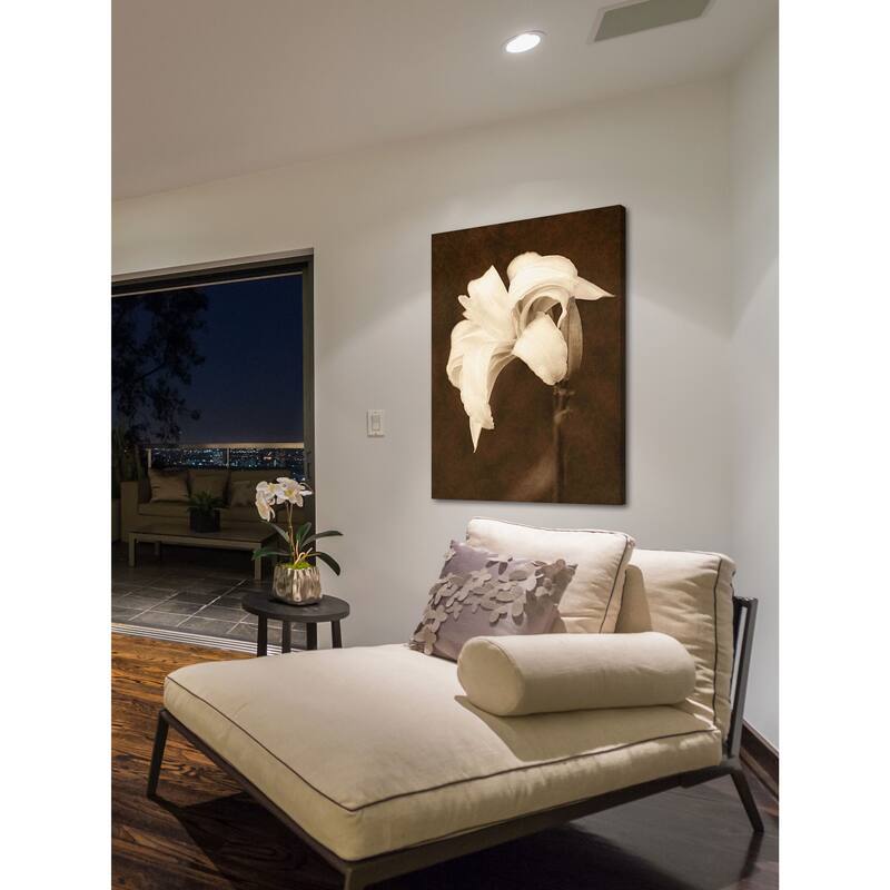 Marmont Hill - Petal Profusion by Robertson Painting Print on Canvas - Multi-Color