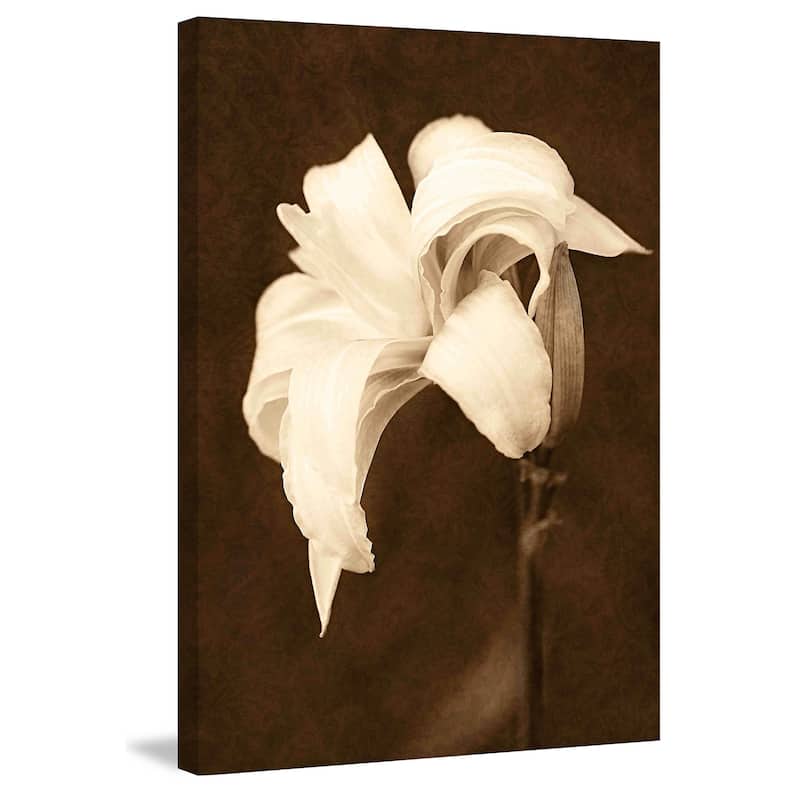 Marmont Hill - Petal Profusion by Robertson Painting Print on Canvas - Multi-Color