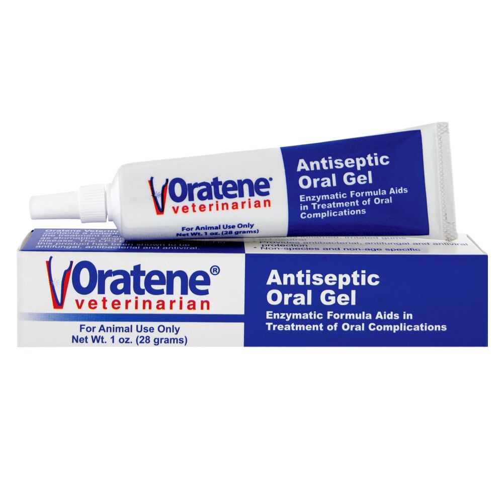 oral antiseptic for dogs