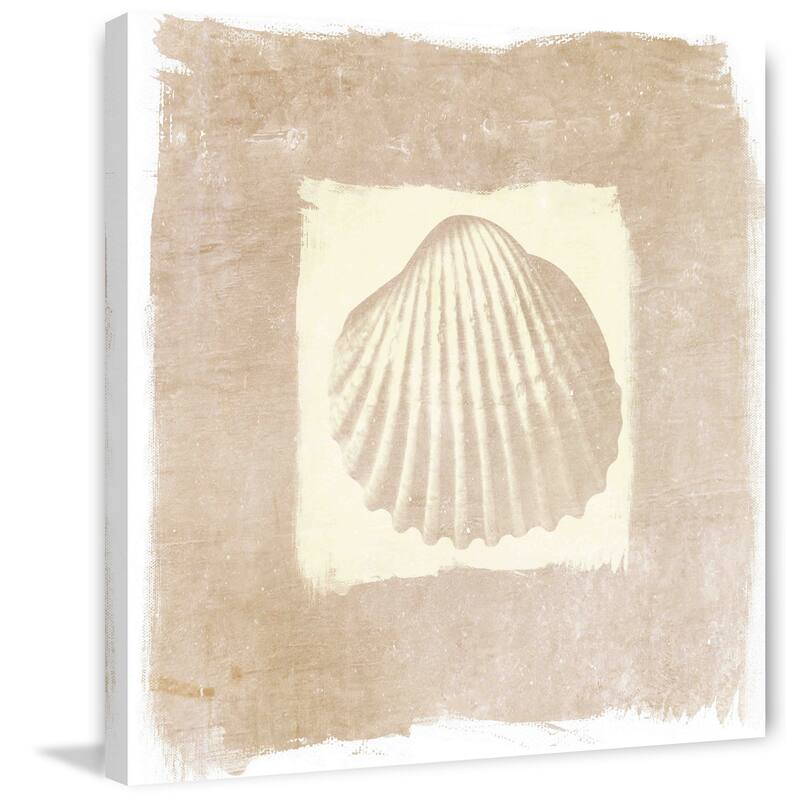 Marmont Hill - Sea Shell by Irena Orlov Painting Print on Canvas - Multi-Color
