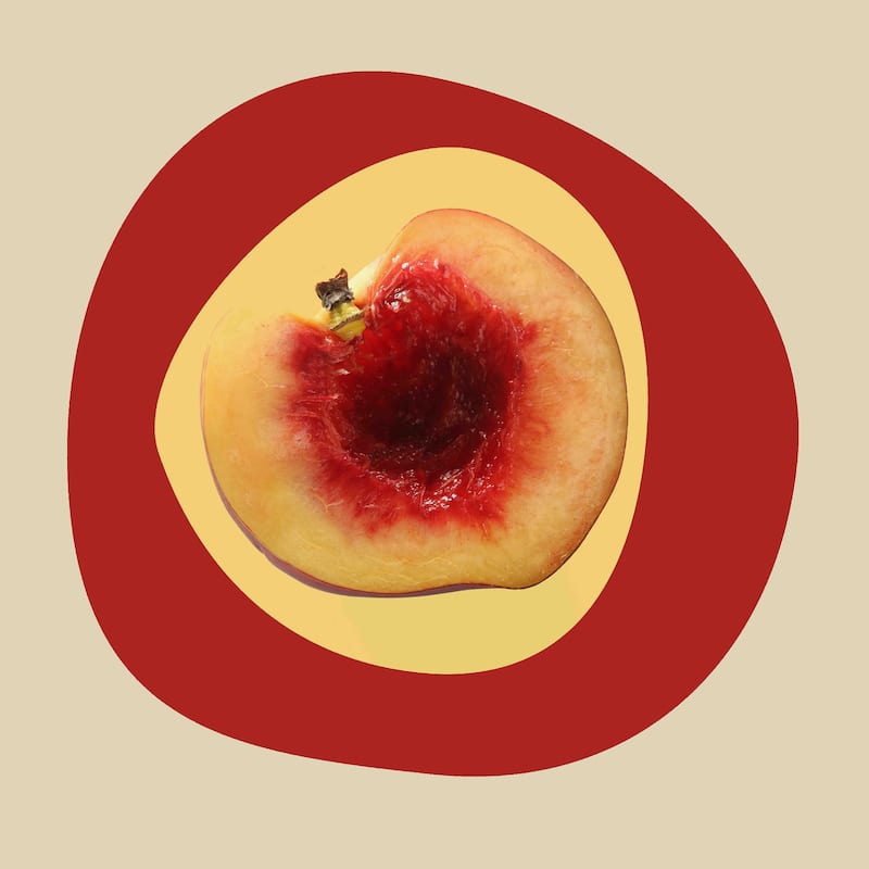 Marmont Hill - September Peach 2 by Irena Orlov Painting Print on Canvas - Multi-Color