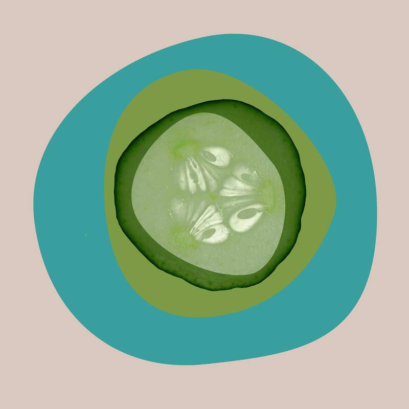 Marmont Hill - September Cucumber by Irena Orlov Painting Print on Canvas - Multi-Color