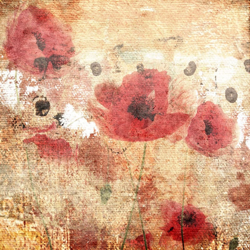 Marmont Hill - Sunset Poppy Field I by Jorgensen Painting Print on Canvas - Multi-Color