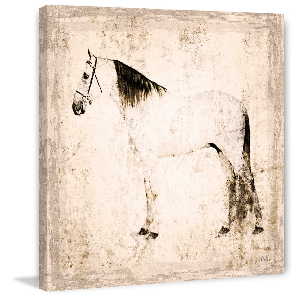 Marmont Hill - White Horse by Irena Orlov Painting Print on Canvas