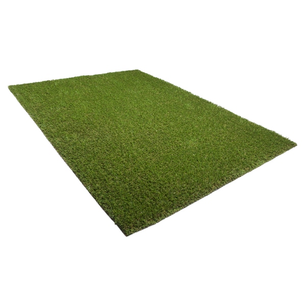 Shop STR MultiUse Green Artificial Grass Free Shipping On Orders