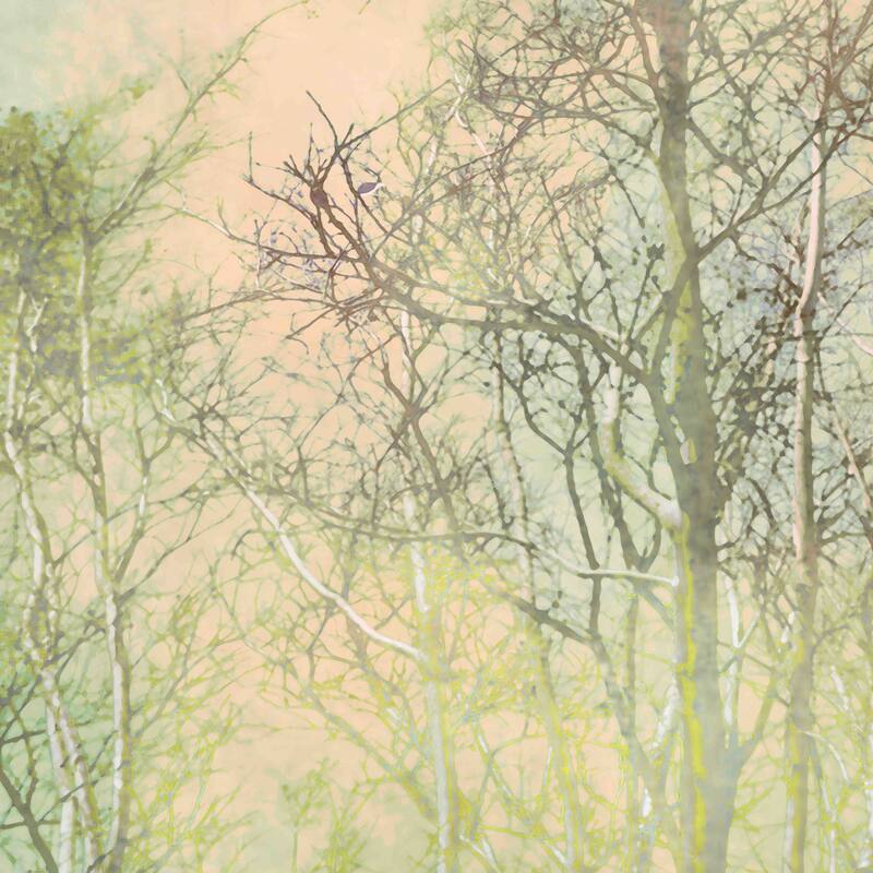 Marmont Hill - Hibiki by Aryai Painting Print on Canvas - Multi-Color