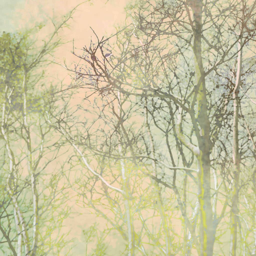 Marmont Hill - Hibiki by Aryai Painting Print on Canvas - Multi-Color