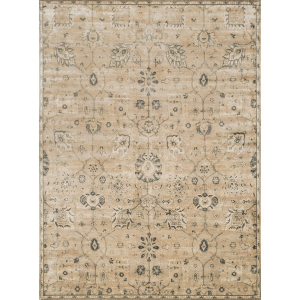 Traditional Distressed Beige/ Grey Floral Rug - 7'6 x 10'5