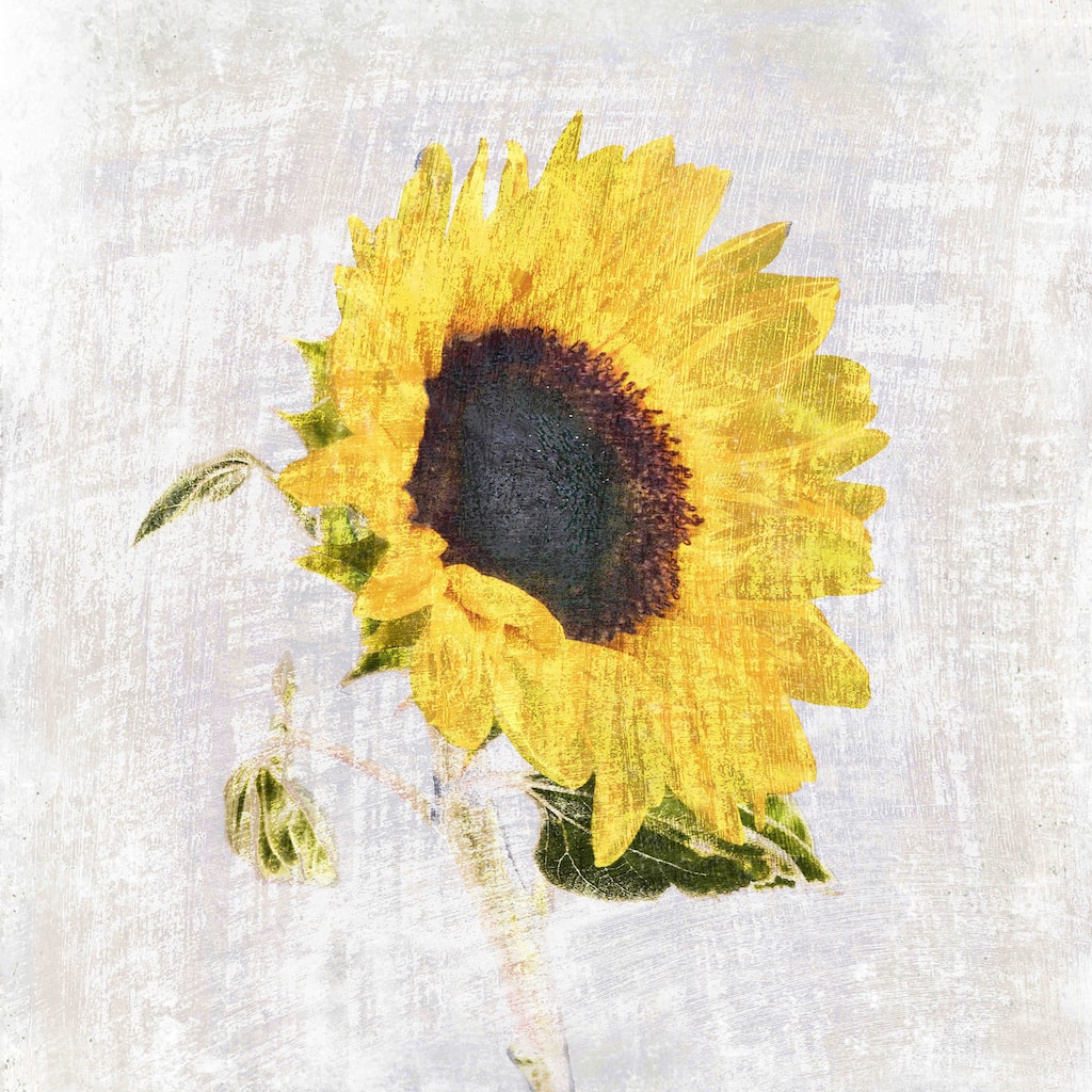 Marmont Hill - Symphony III by Aryai Painting Print on Canvas - Multi-Color