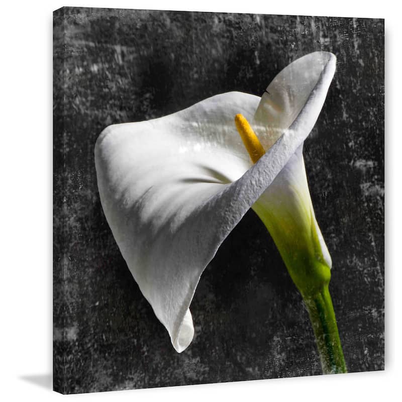 Marmont Hill - White Callas by Aryai Painting Print on Canvas - Multi-Color