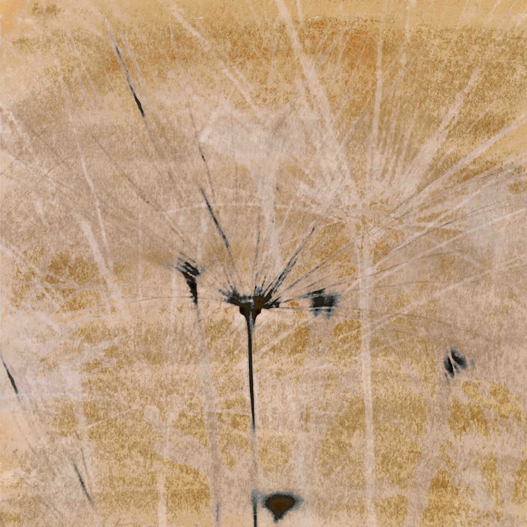 Marmont Hill - Dandelions III by Aryai Painting Print on Canvas - Multi-Color