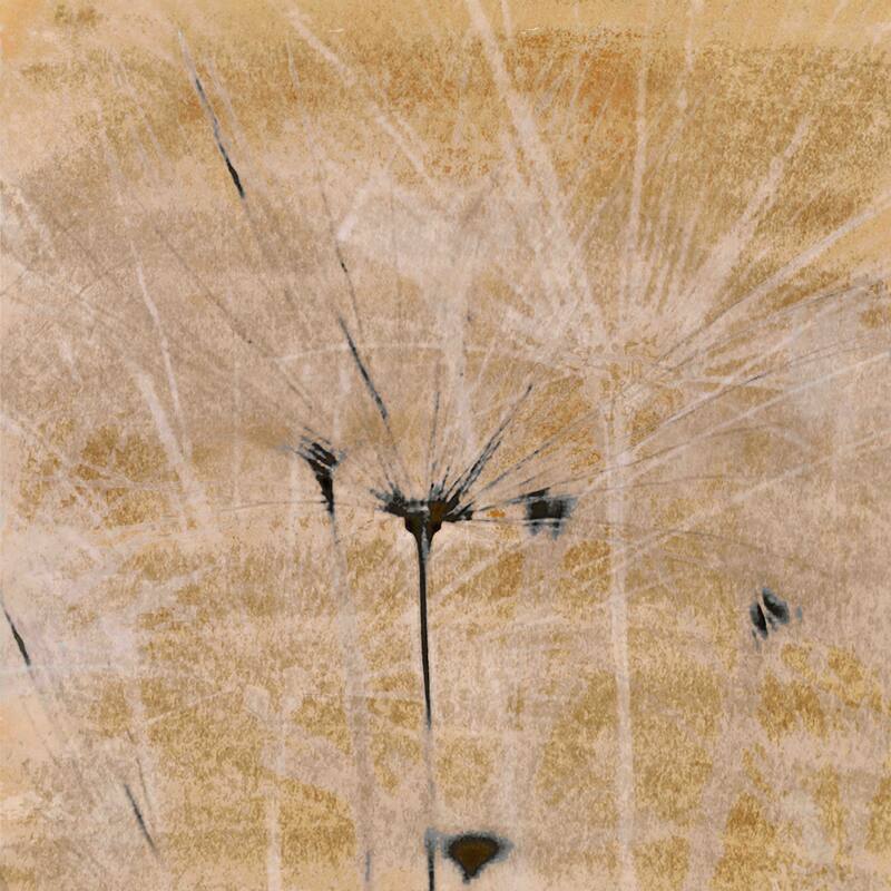 Marmont Hill - Dandelions III by Aryai Painting Print on Canvas - Multi-Color