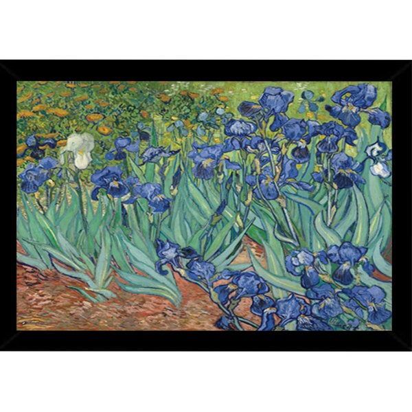 Van Gogh Irises Print (30 inches x 24 inches) with Contemporary Poster ...