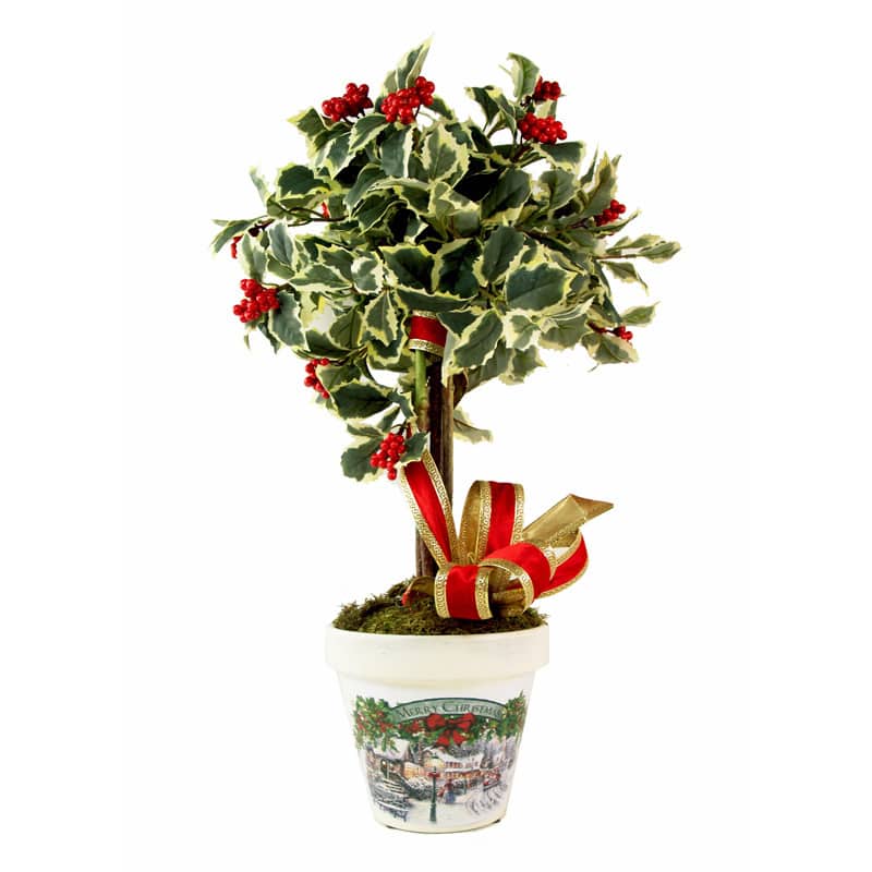 Variegated Holly Miniature Christmas Topiary