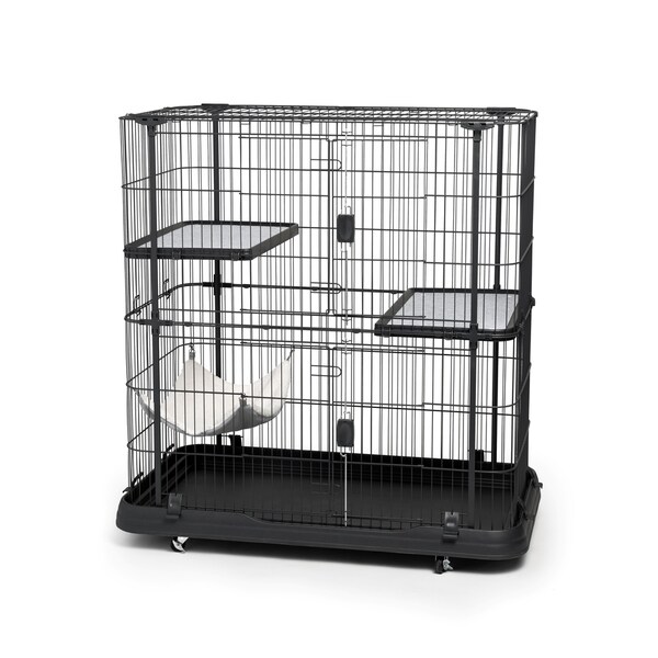 prevue cat home