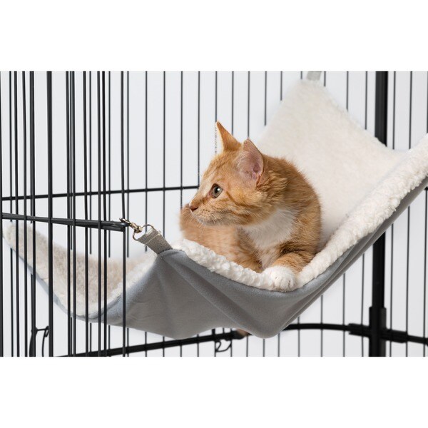 prevue cat home