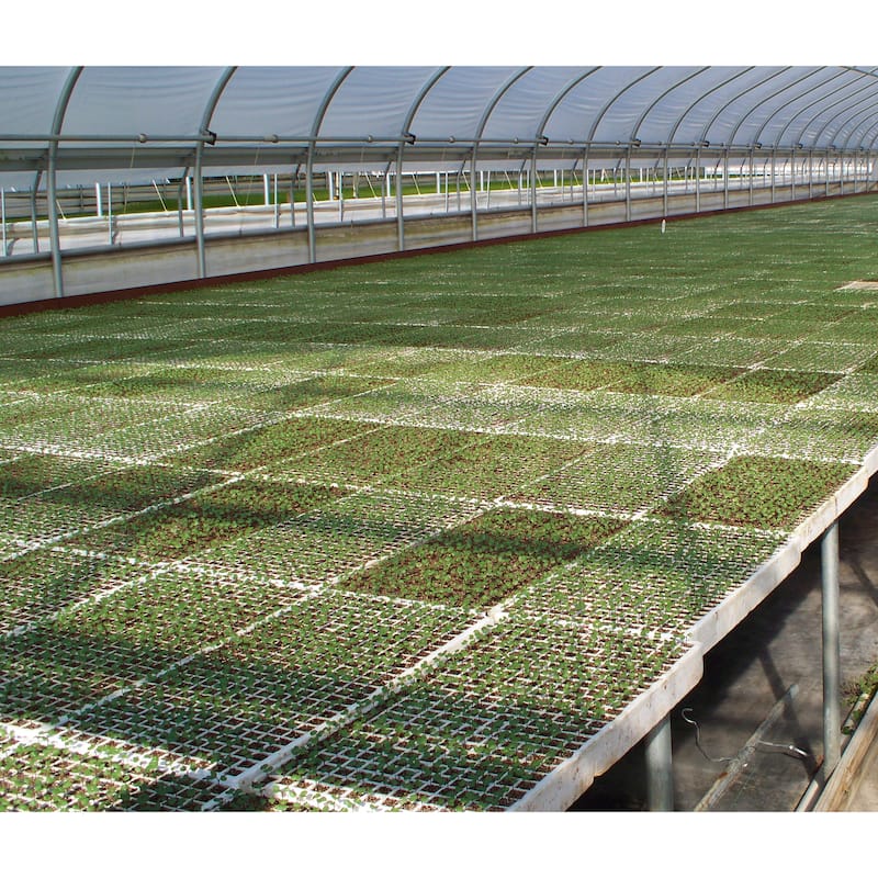 RSI Hydroponic Seed Trays - 128 and 242 plugs
