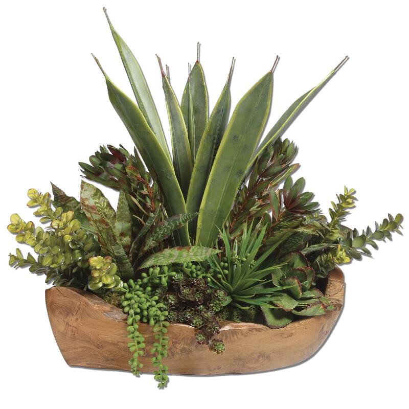 Salar Succulents In Teak Bowl - Silk