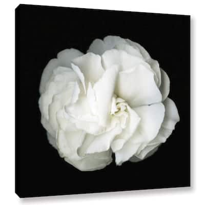 ArtWall Susanna Shaposhnikova's White Flower, Gallery Wrapped Canvas