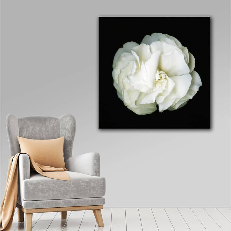 ArtWall Susanna Shaposhnikova's White Flower, Gallery Wrapped Canvas