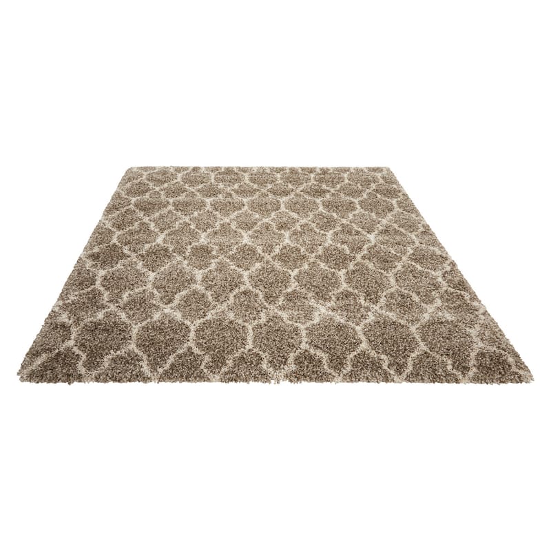 Nourison Amore Shag Area Rug