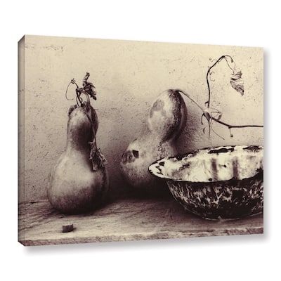 ArtWall Elena Ray 'Gourds And Bowl' Gallery-wrapped Canvas