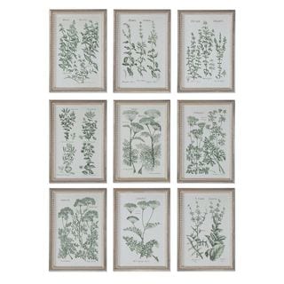 Herb Garden Prints (Set of 9) - Multi