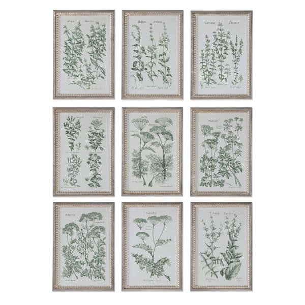 slide 2 of 3, Herb Garden Prints (Set of 9) - Multi