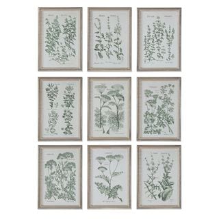 Herb Garden Prints (Set of 9) - Multi