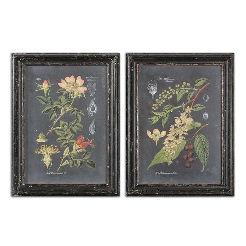 Midnight Botanicals Wall Art (Set of 2)